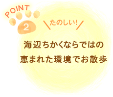 海辺ちかくならではの恵まれた環境でお散歩